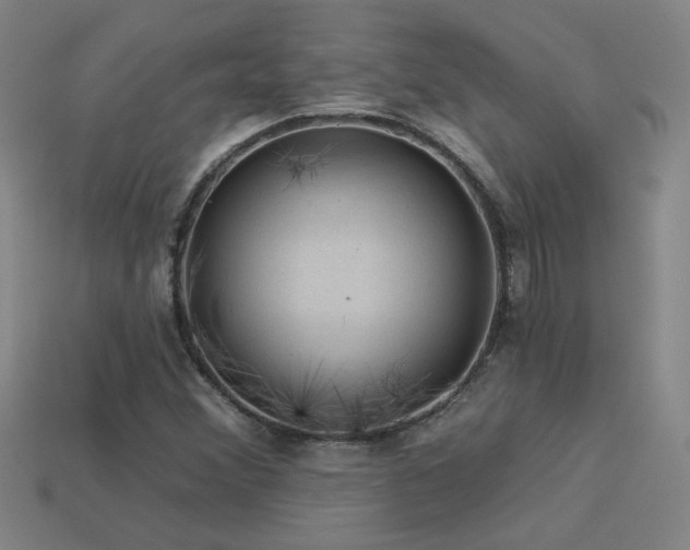 X0000114121356200910051502