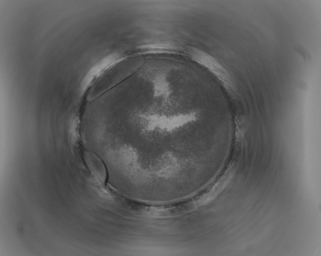 X0000114121357200910051502