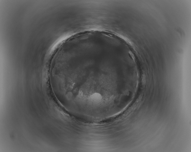 X0000114121359200910051502