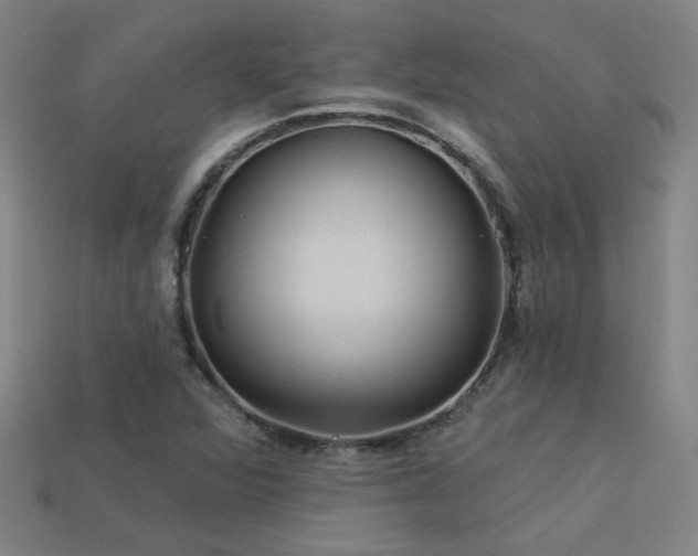 X0000114121360200910051502