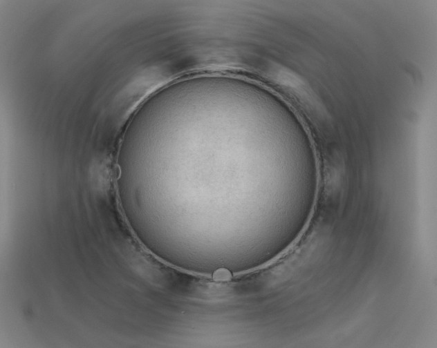 X0000114121361200910051502