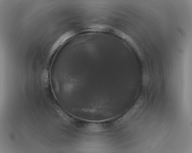 X0000114121362200910051502