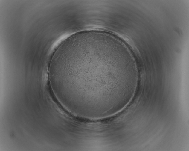 X0000114121363200910051502