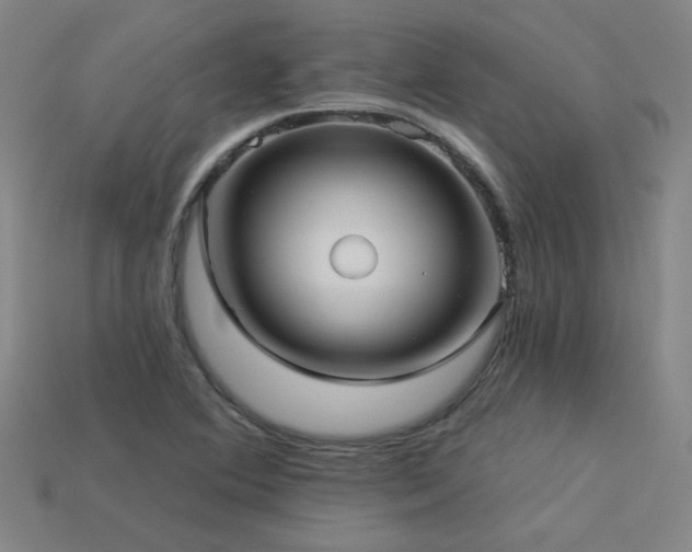 X0000114121364200910051502