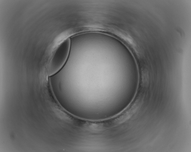 X0000114121365200910051502