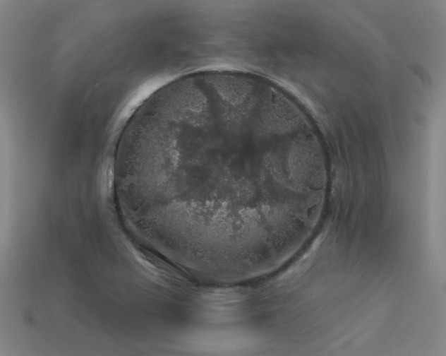 X0000114121367200910051502