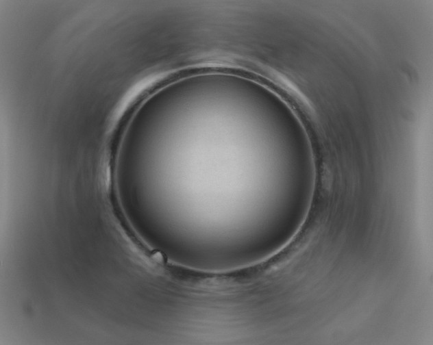 X0000114121368200910051502