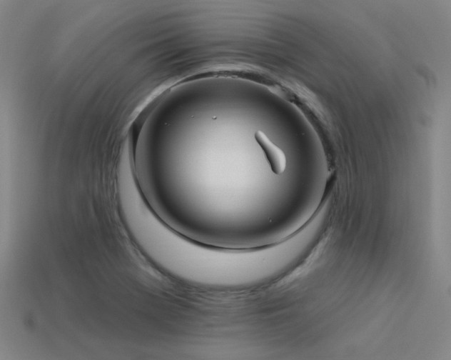 X0000114121369200910051502