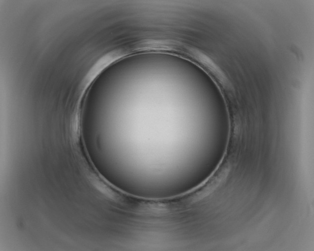 X0000114121370200910051502