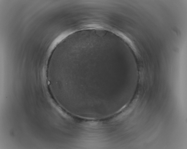 X0000114121373200910051502