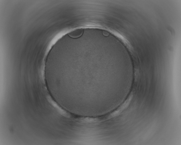 X0000114121374200910051502