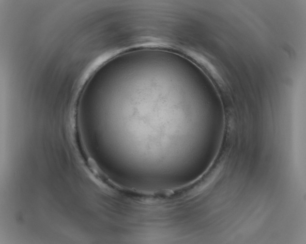 X0000114121375200910051502