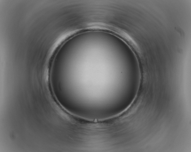 X0000114121376200910051502