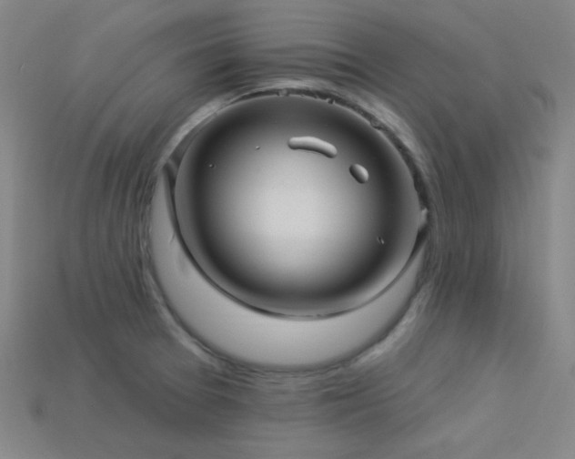 X0000114121377200910051502