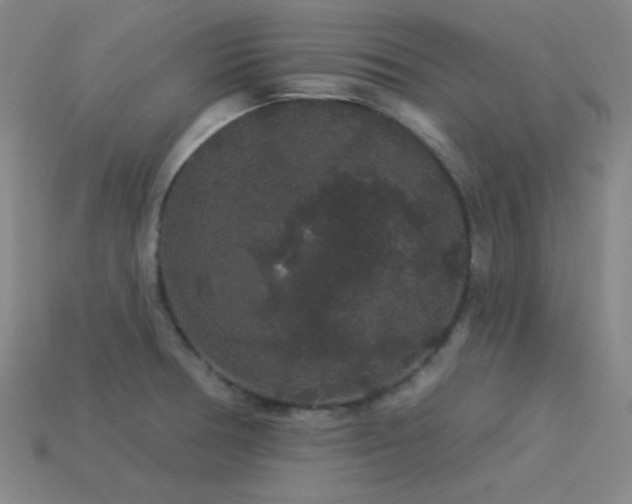 X0000114121378200910051502