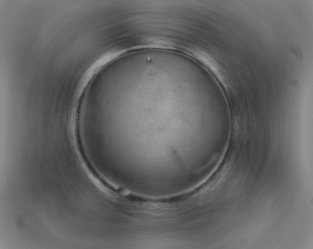 X0000114121379200910051502