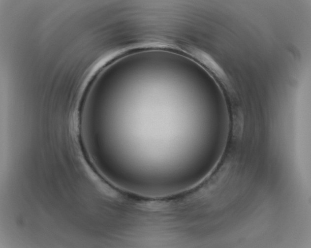 X0000114121380200910051502