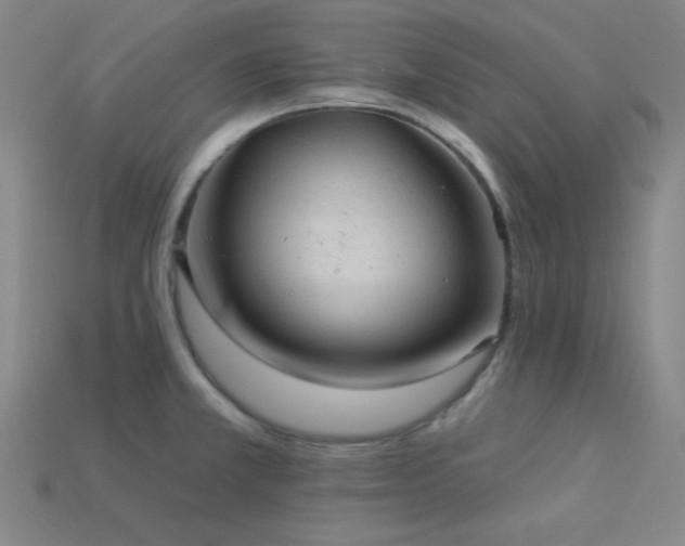 X0000114121381200910051502