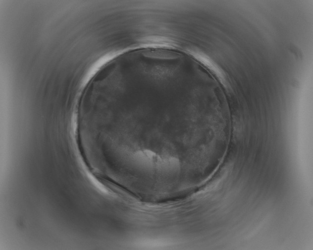 X0000114121383200910051502