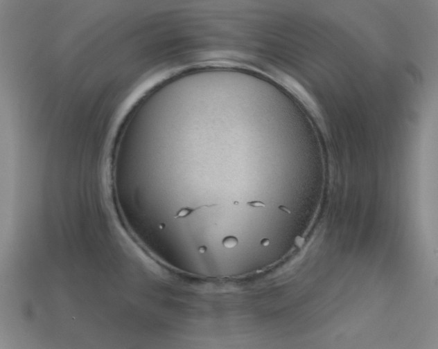 X0000114121384200910051502