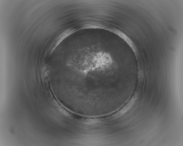 X0000114121385200910051502