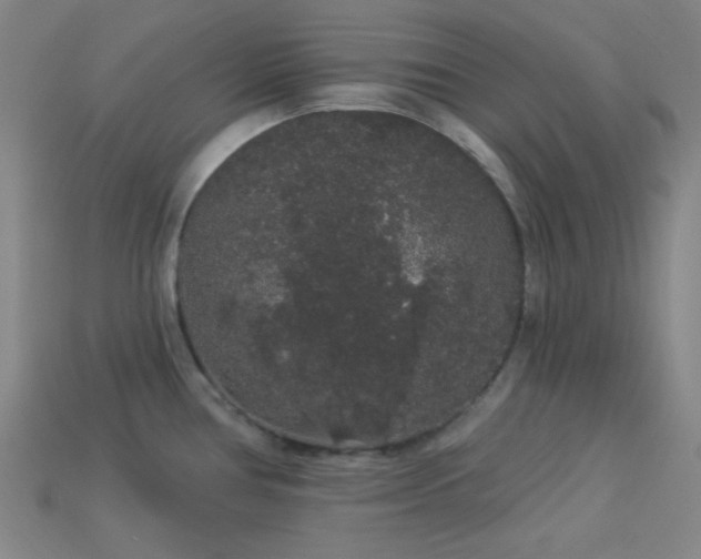X0000114121386200910051502