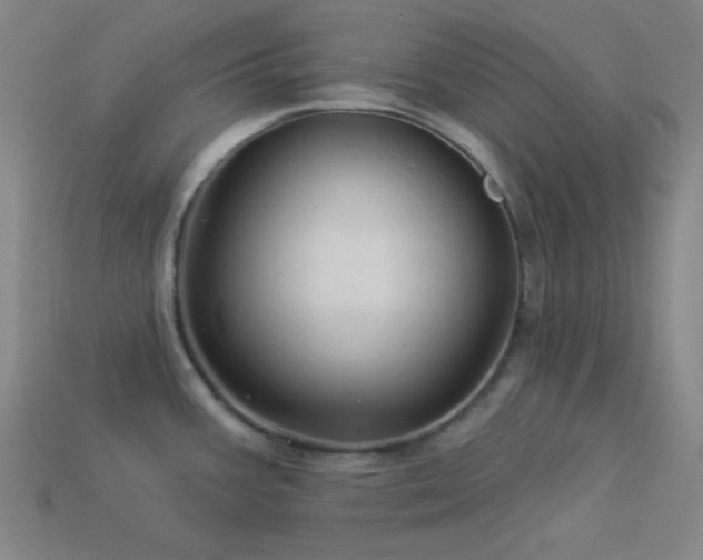 X0000114121387200910051502