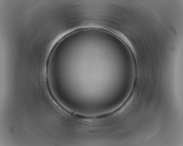 X0000114121388200910051502