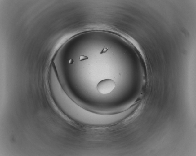 X0000114121389200910051502