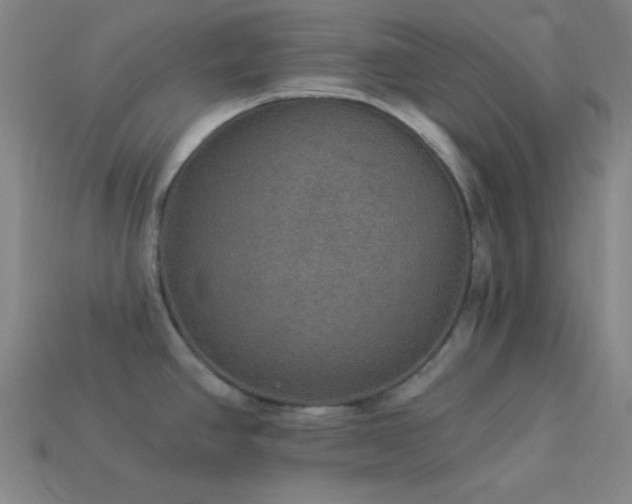 X0000114121390200910051502