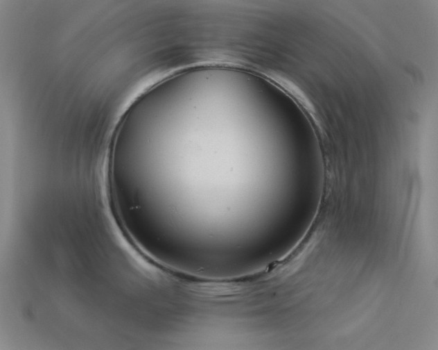 X0000114121391200910051502