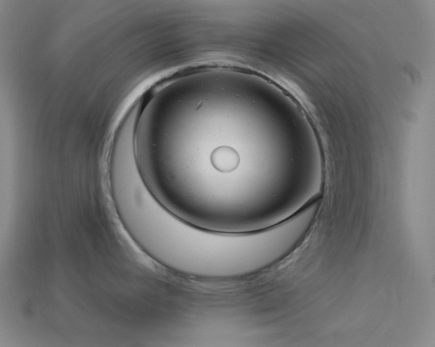 X0000114121392200910051502