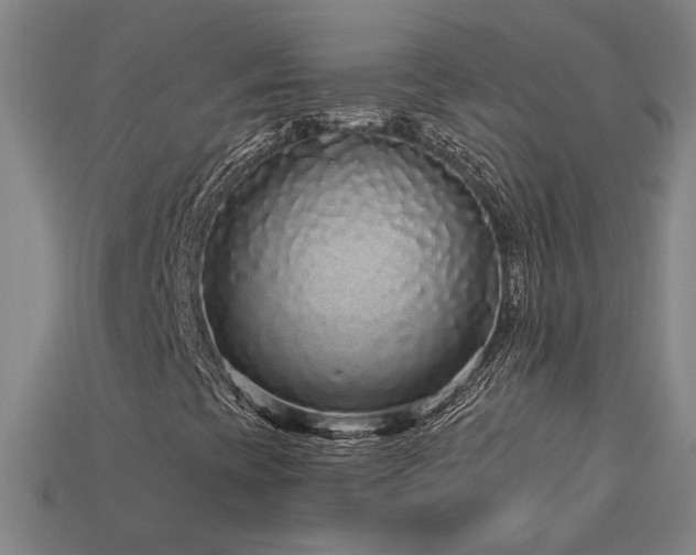 X0000114121393200910051501