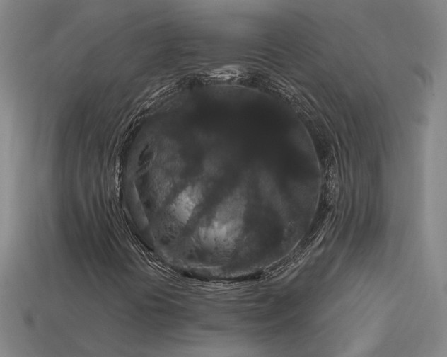 X0000114121394200910051501