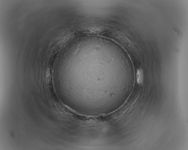 X0000114121395200910051501