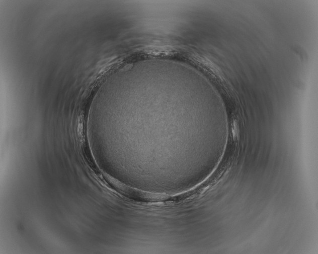 X0000114121396200910051501