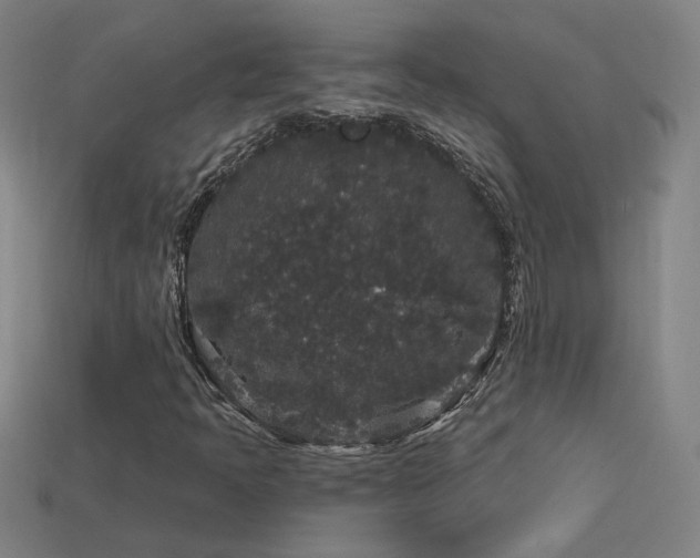 X0000114121397200910051501