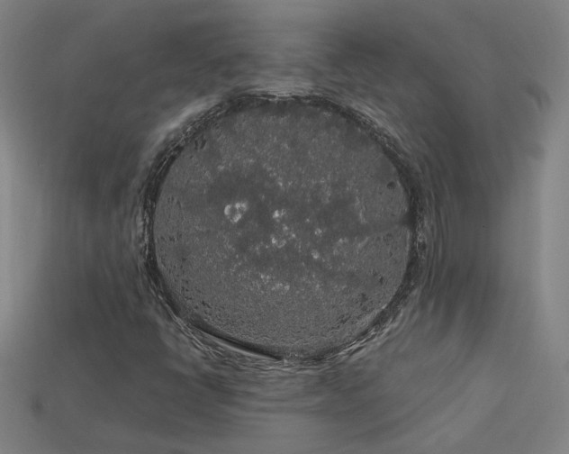 X0000114121398200910051501