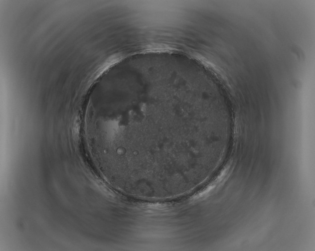 X0000114121401200910051501