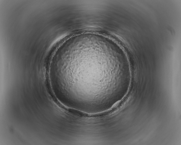 X0000114121402200910051501