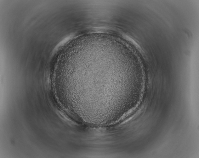 X0000114121403200910051502