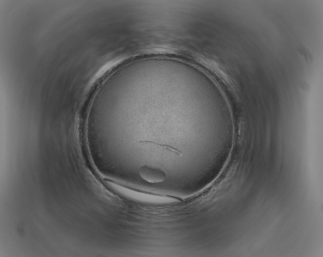 X0000114121404200910051502