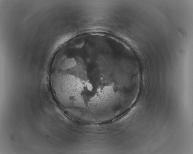 X0000114121405200910051502