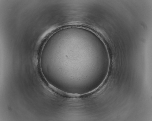 X0000114121406200910051502