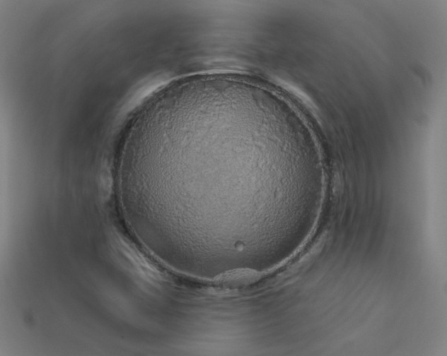 X0000114121407200910051502