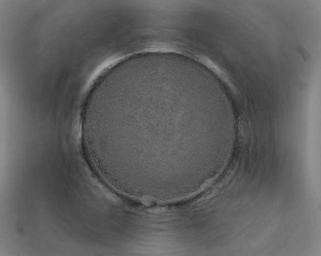 X0000114121408200910051502