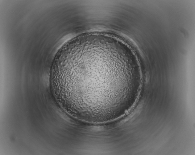 X0000114121409200910051502