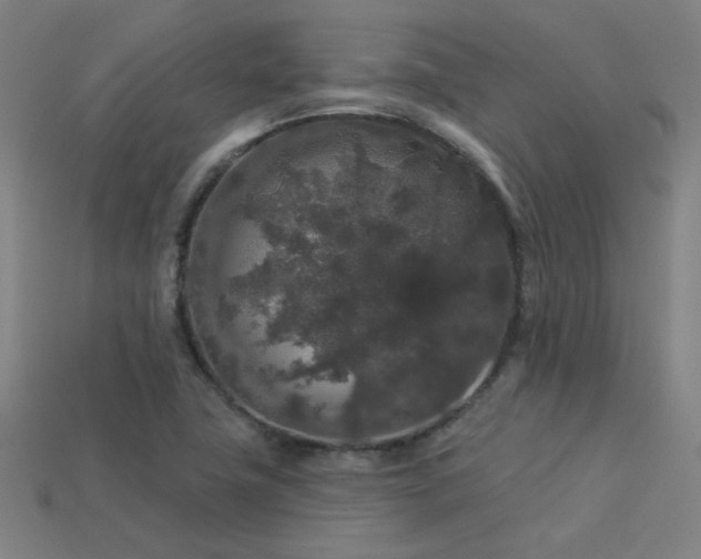 X0000114121411200910051502