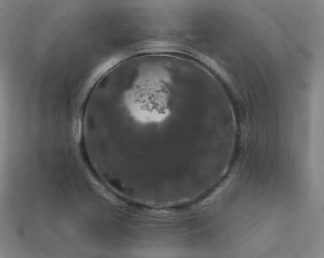 X0000114121413200910051502