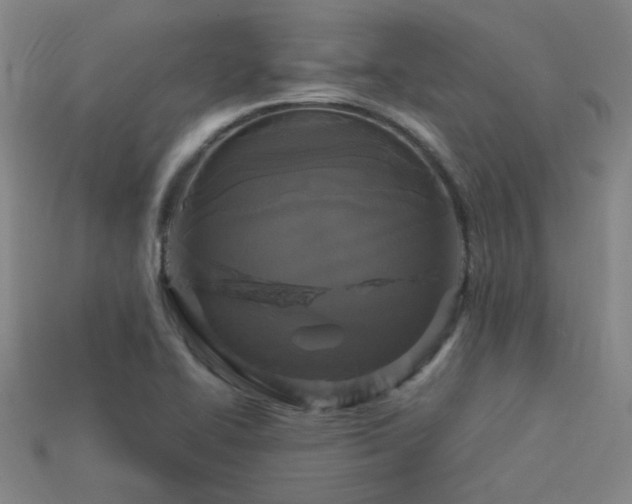 X0000114121414200910051502